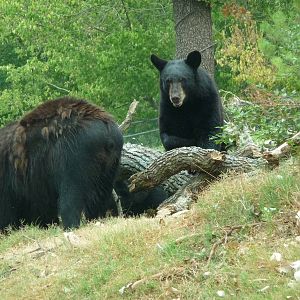 Oklahoma City Zoo - Oklahoma Trails
