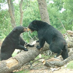 Oklahoma City Zoo - Oklahoma Trails