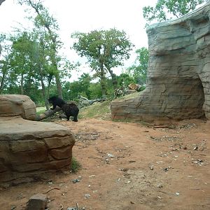 Oklahoma City Zoo - Oklahoma Trails