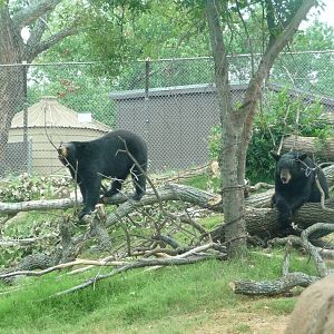 Oklahoma City Zoo - Oklahoma Trails