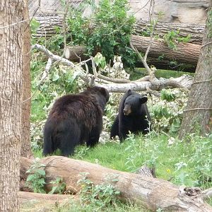 Oklahoma City Zoo - Oklahoma Trails