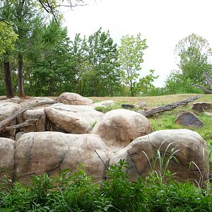 Oklahoma City Zoo - Gorilla Exhibit