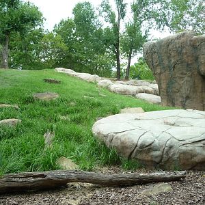 Oklahoma City Zoo - Orangutan Exhibit