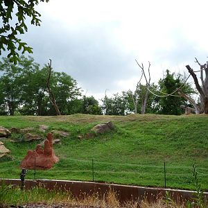 Oklahoma City Zoo -  Chimpanzee Exhibit