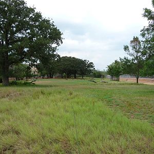 Oklahoma City Zoo - Zebra Paddock