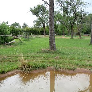 Oklahoma City Zoo - Spotted Hyena Exhibit