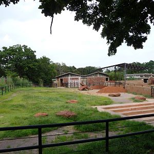 Oklahoma City Zoo - Empty Elephant Paddock