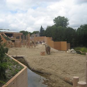 Copenhagen Zoo - Elephant Exhibit