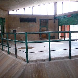 Oklahoma City Zoo - Indian Rhino Indoor Room