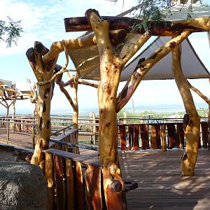 Arizona-Sonora Desert Museum - Children's Treehouse