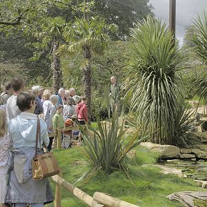 Keeper's talk in 'Madagascar'