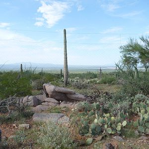 Arizona-Sonora Desert Museum - Zoo Scenery