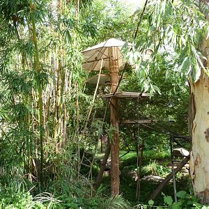 Phoenix Zoo - Walk-through Squirrel Monkey Exhibit