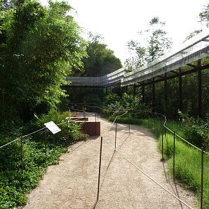 Phoenix Zoo - Walk-through Squirrel Monkey Exhibit