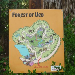 Phoenix Zoo - Forest of Uco