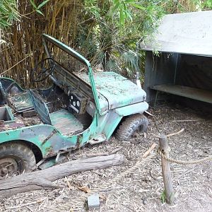 Phoenix Zoo - Forest of Uco