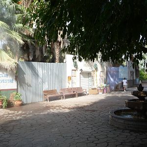 Phoenix Zoo - Forest of Uco