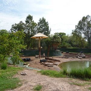 Phoenix Zoo - Asian Elephant Exhibit