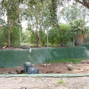 Phoenix Zoo - Asian Elephant Exhibit