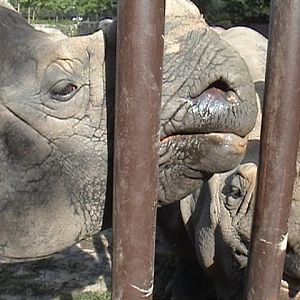 Two nice Indian ladies...