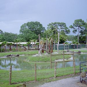 Future Exhibits - Safari Africa