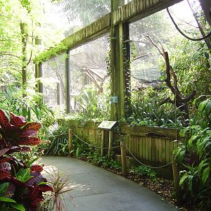 Subtropical Aviary
