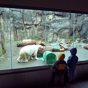 Polar Bear Exhibit