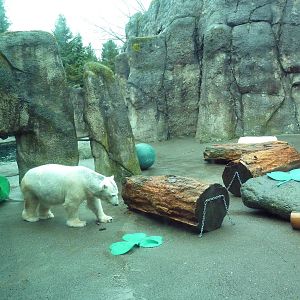Polar Bear Exhibit