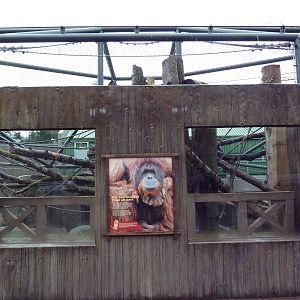 Red Ape Reserve - New In 2010