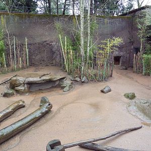 Babirusa Exhibit
