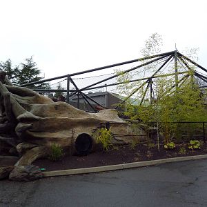 Red Ape Reserve - New In 2010