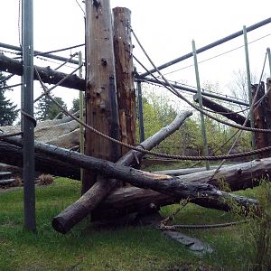 Red Ape Reserve - New In 2010