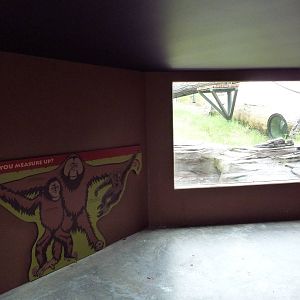 Red Ape Reserve - New In 2010