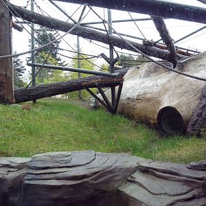 Red Ape Reserve - New In 2010