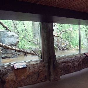 Red Ape Reserve - New In 2010