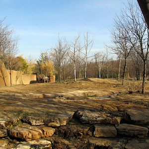 Second Asian Elephant Exhibit