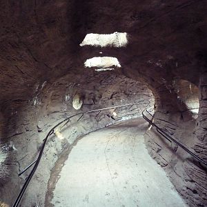 Red Ape Reserve Viewing Tunnel - New In 2010