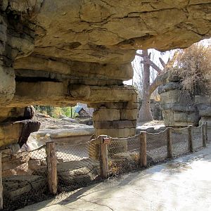 Third Asian Elephant Exhibit