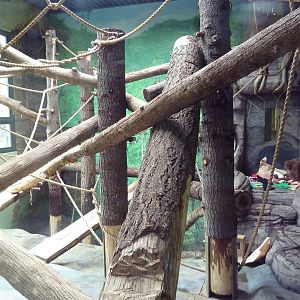 Red Ape Reserve - New In 2010