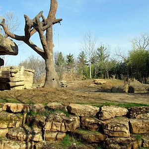 Third Asian Elephant Exhibit
