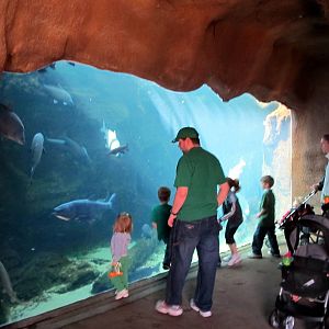 Missouri Aquarium