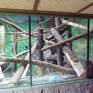 Red Ape Reserve - New In 2010