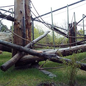 Red Ape Reserve - New In 2010