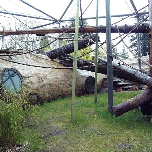 Red Ape Reserve - New In 2010