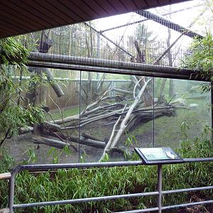 Mandrill Exhibit