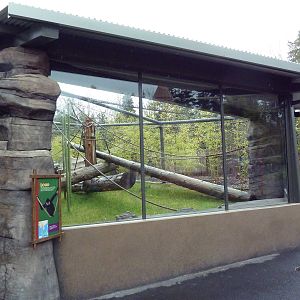 Red Ape Reserve - New In 2010