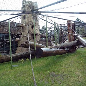 Red Ape Reserve - New In 2010