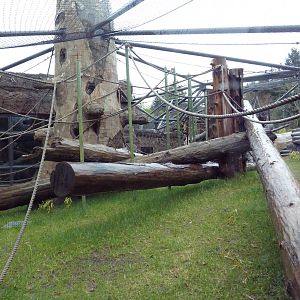 Red Ape Reserve - New In 2010