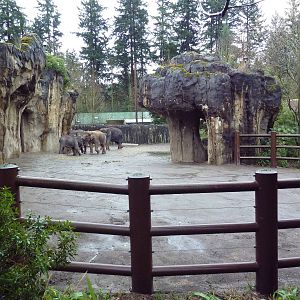 Asian Elephant Exhibit