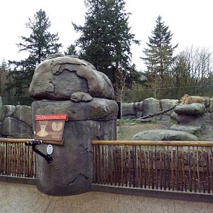 Predators Of The Serengeti - Lion Exhibit